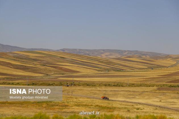 برآورد سطح زیرکشت ۳ محصول استراتژیک با فناوری فضایی