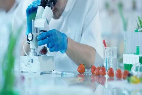 رقابت تیم های فناور برای ارائه بهترین فرمولاسیون فرآوری محصولات غذایی