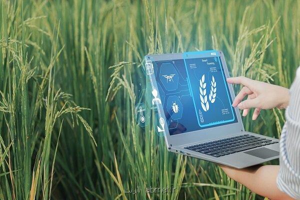 تمرکز دانش بنیان ها بر تولید بذور فناورانه و کشاورزی هوشمند دیجیتال