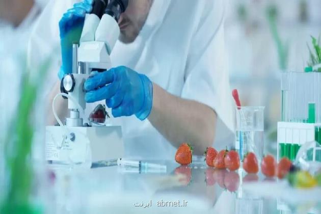 رقابت تیم های فناور برای ارائه بهترین فرمولاسیون فرآوری محصولات غذایی