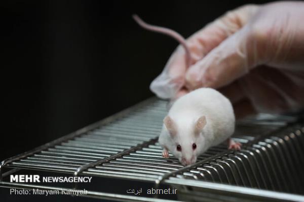 پنجمین سمینار ملی فناوری های جایگزین حیوانات آزمایشگاهی برگزار می گردد