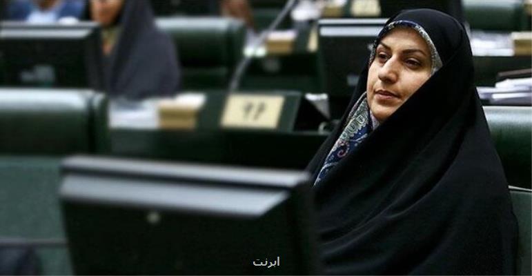رونق مشاغل اینترنتی به جهش تولید می انجامد